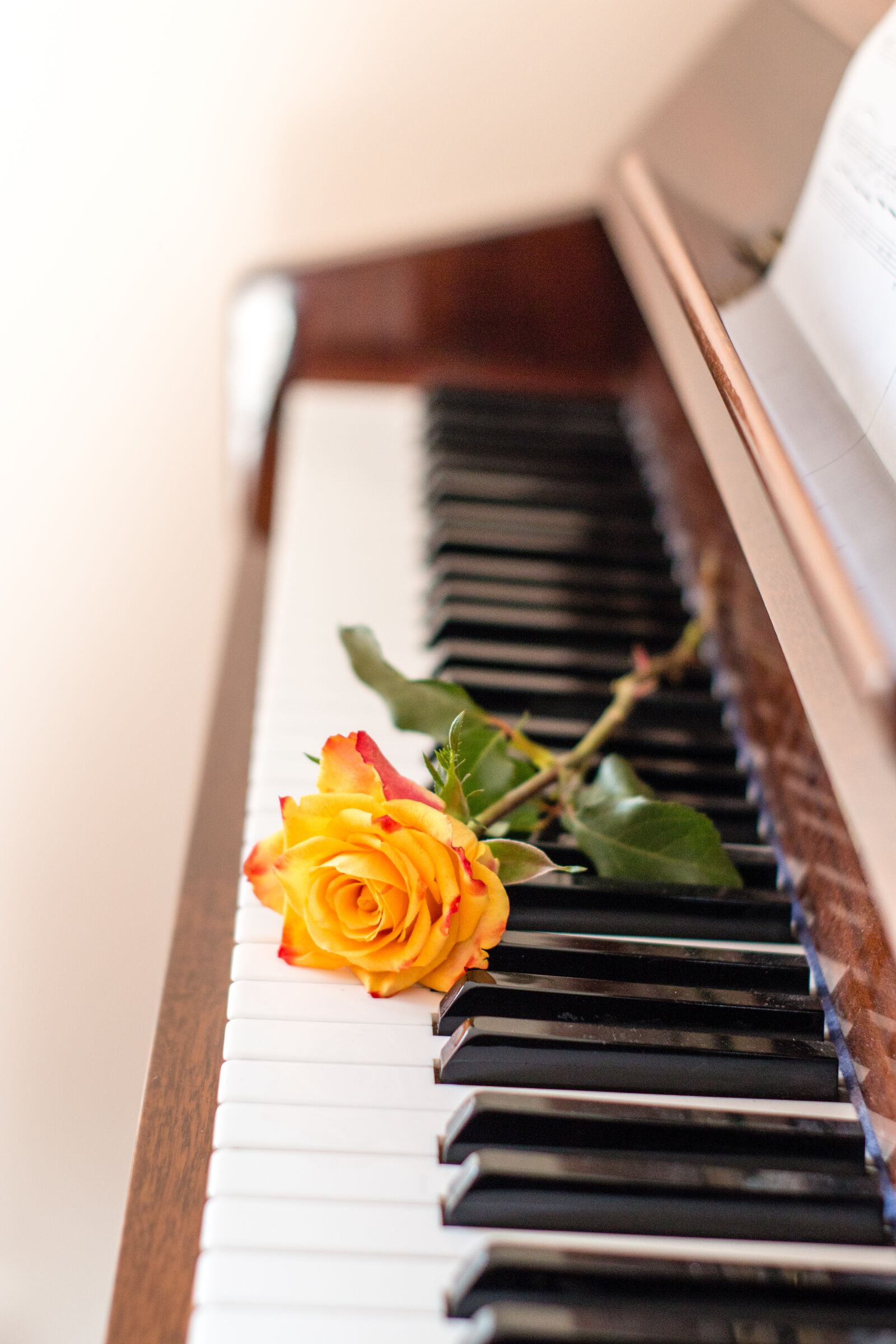 Canon EOS 70D sample photo. Piano, music, instrument photography