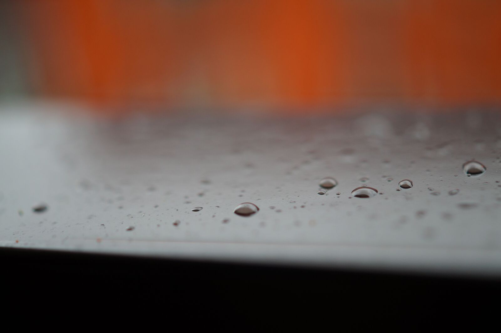 Sony DT 30mm F2.8 Macro SAM sample photo. Water drops, rainy, drops photography
