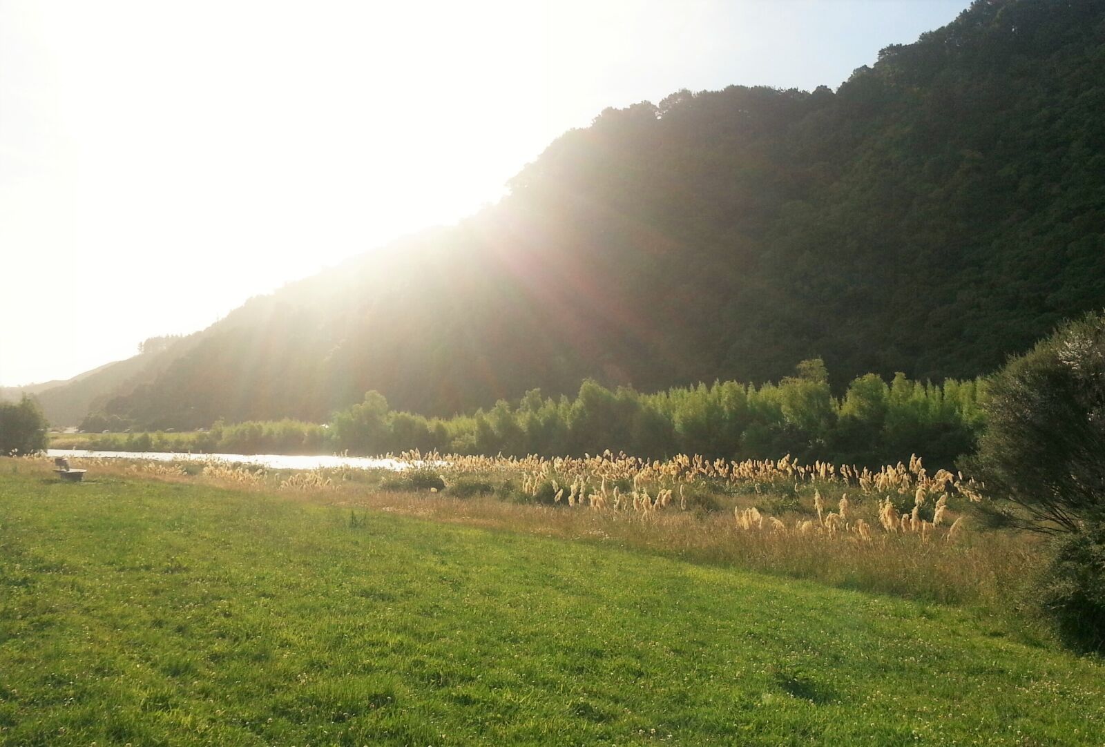 Samsung Galaxy S3 sample photo. Evening, sun, green, hills photography