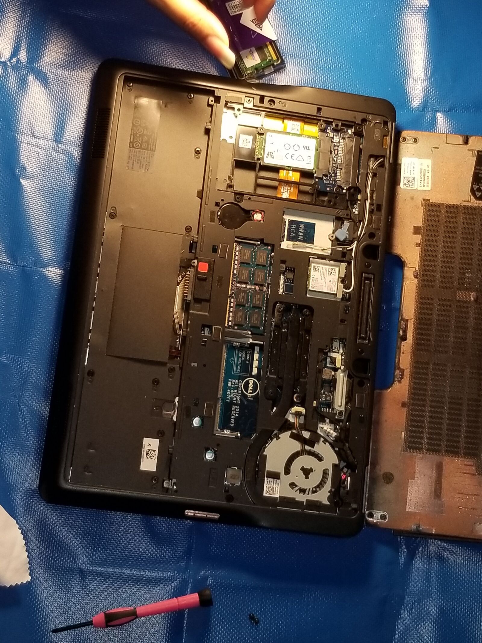 Samsung Galaxy S8 sample photo. Low resolution, pc repair photography
