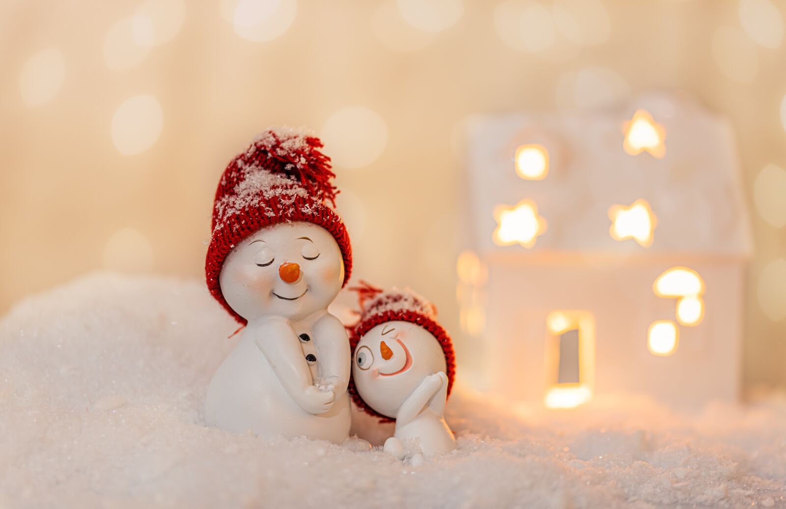 Canon EOS R sample photo. Snowmen, snow, christmas photography