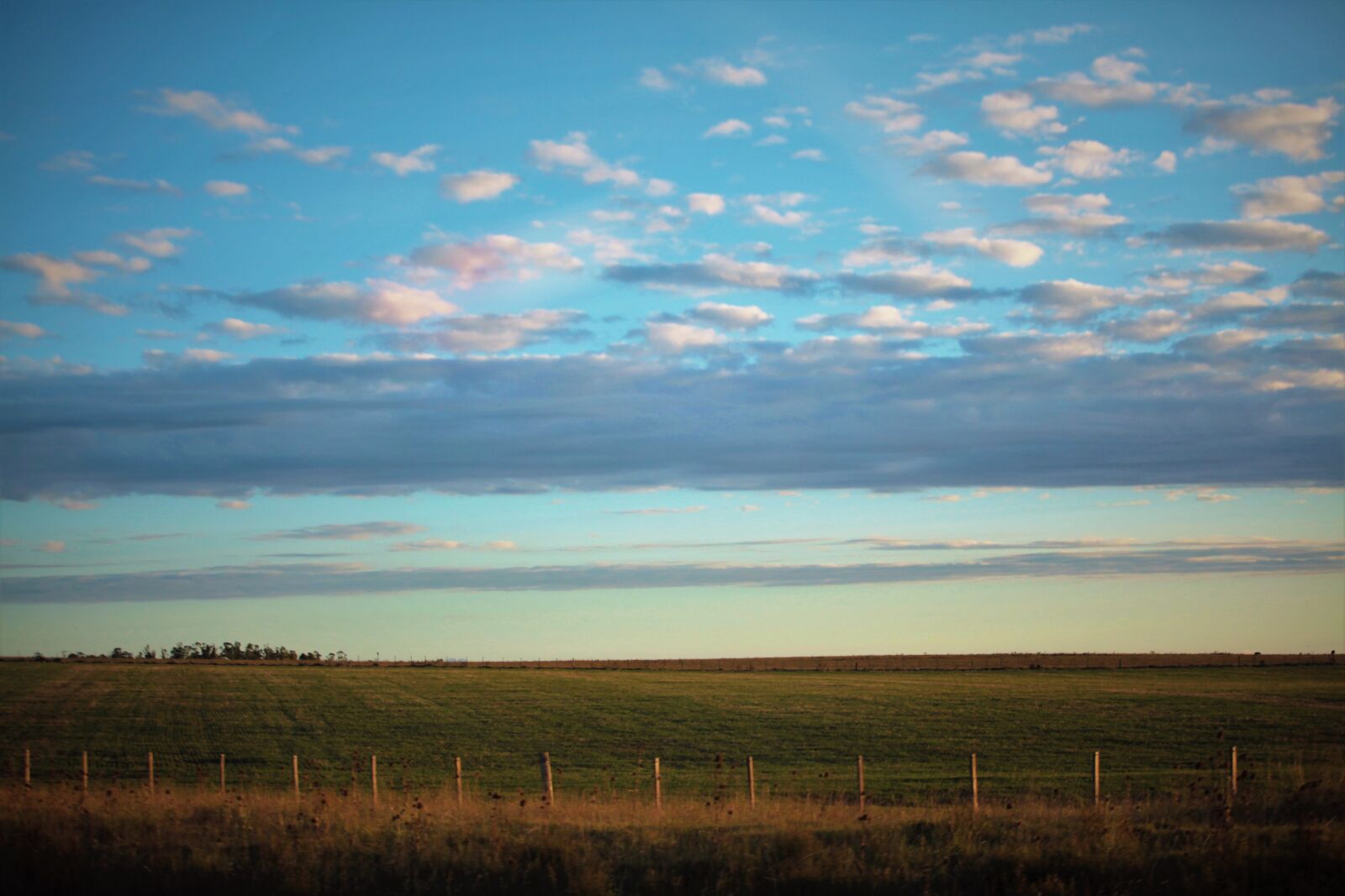 Canon EOS 5D Mark II sample photo. Field, meadows, panoramic photography