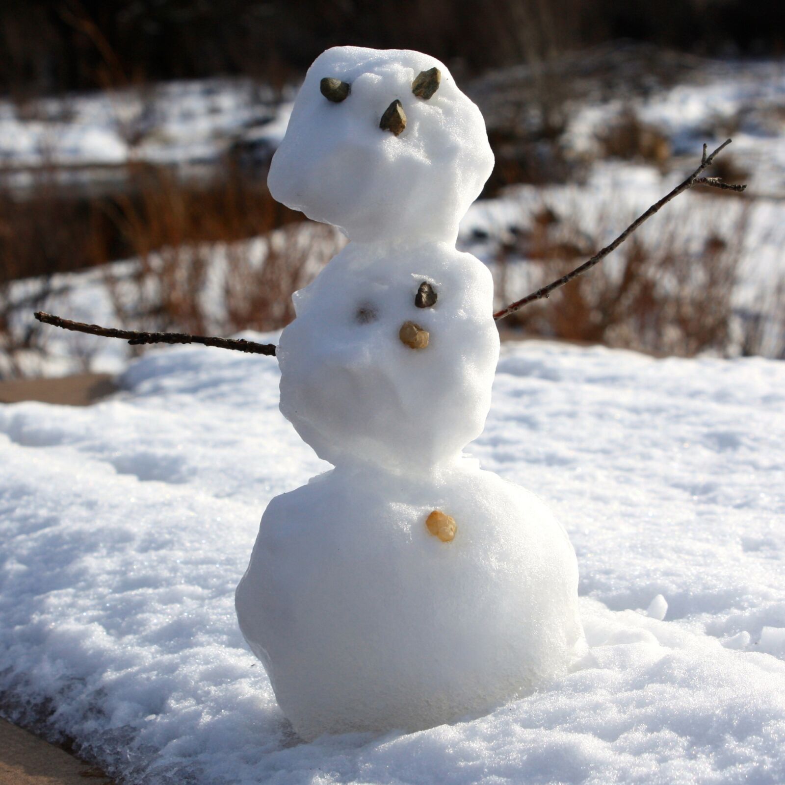 Canon EOS 450D (EOS Rebel XSi / EOS Kiss X2) sample photo. Snowman, snow, winter photography