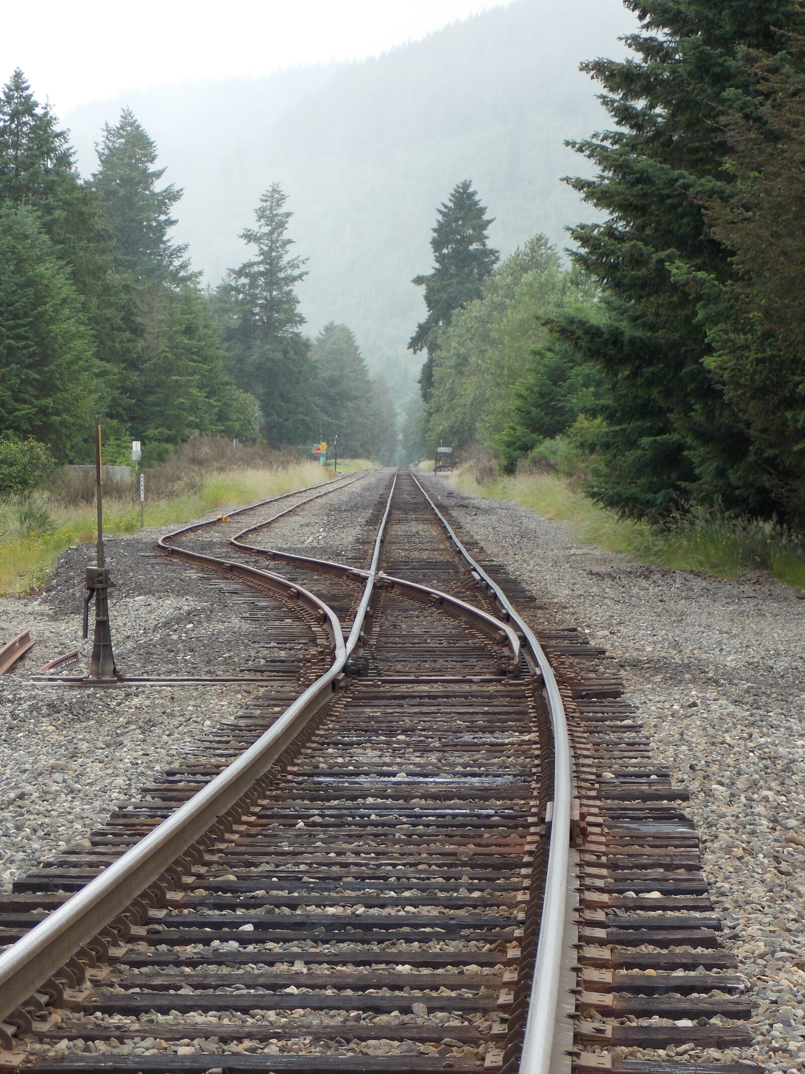 Nikon Coolpix L810 sample photo. Train tracks, rails, railroad photography