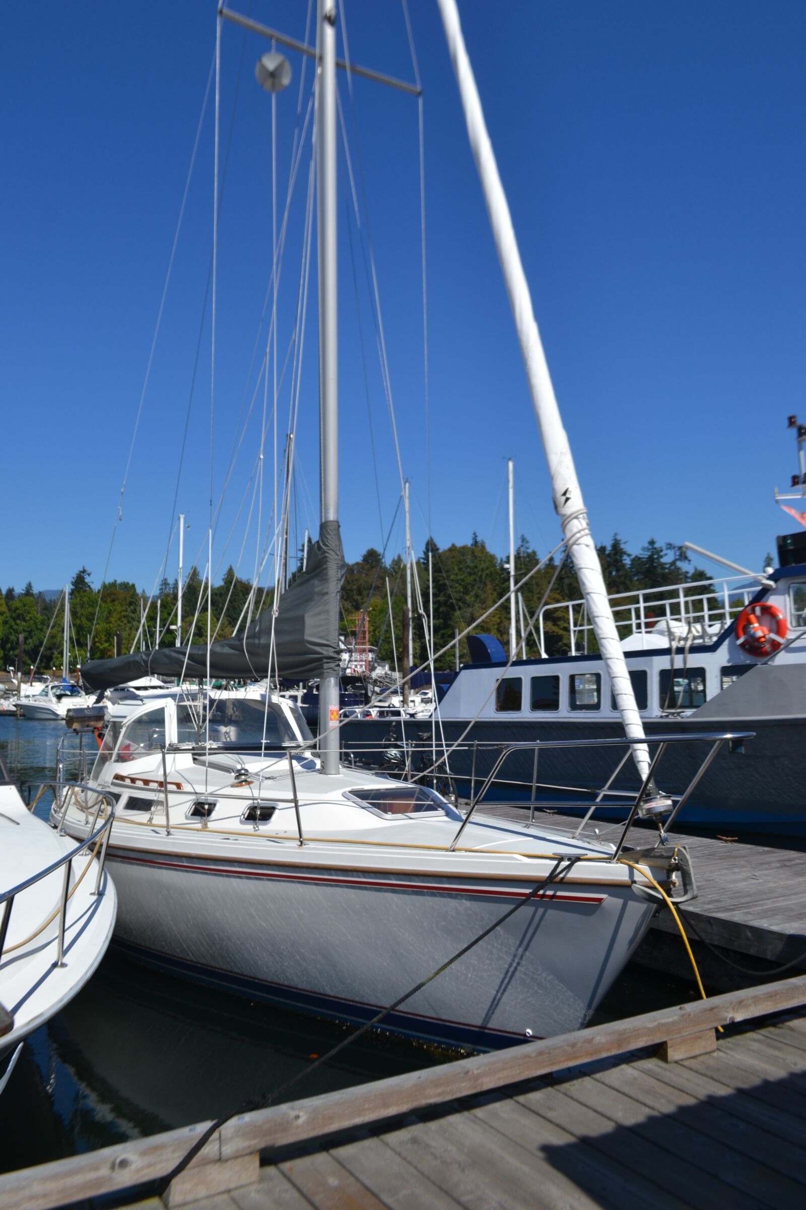 Nikon D3100 sample photo. Canada, vancouver, city photography