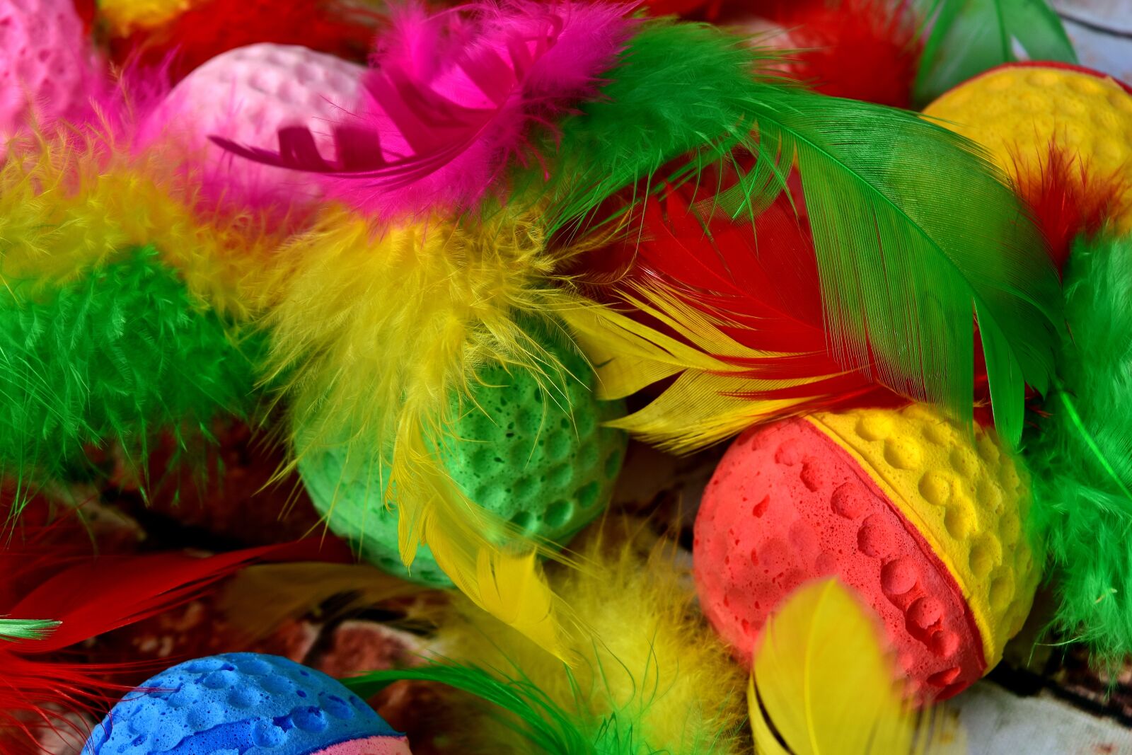 Nikon D7200 sample photo. Colorful, color, foam rubber photography