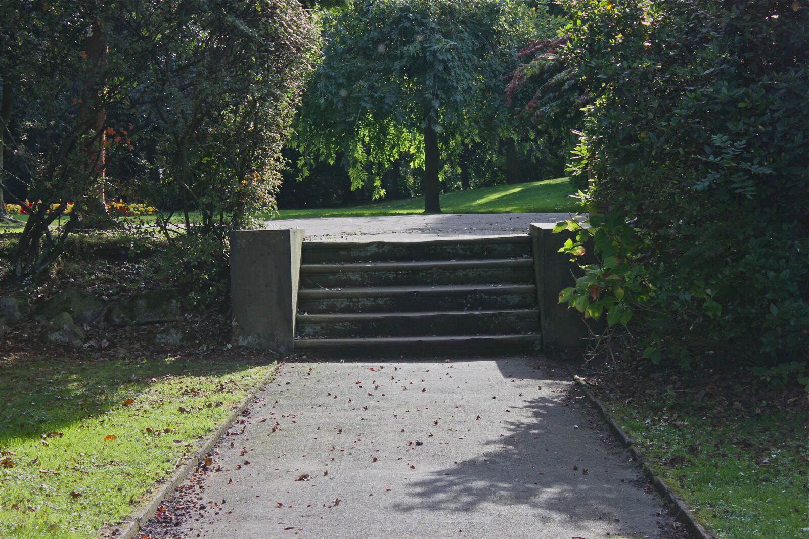 Canon EOS 550D (EOS Rebel T2i / EOS Kiss X4) sample photo. Pathway, steps, path photography