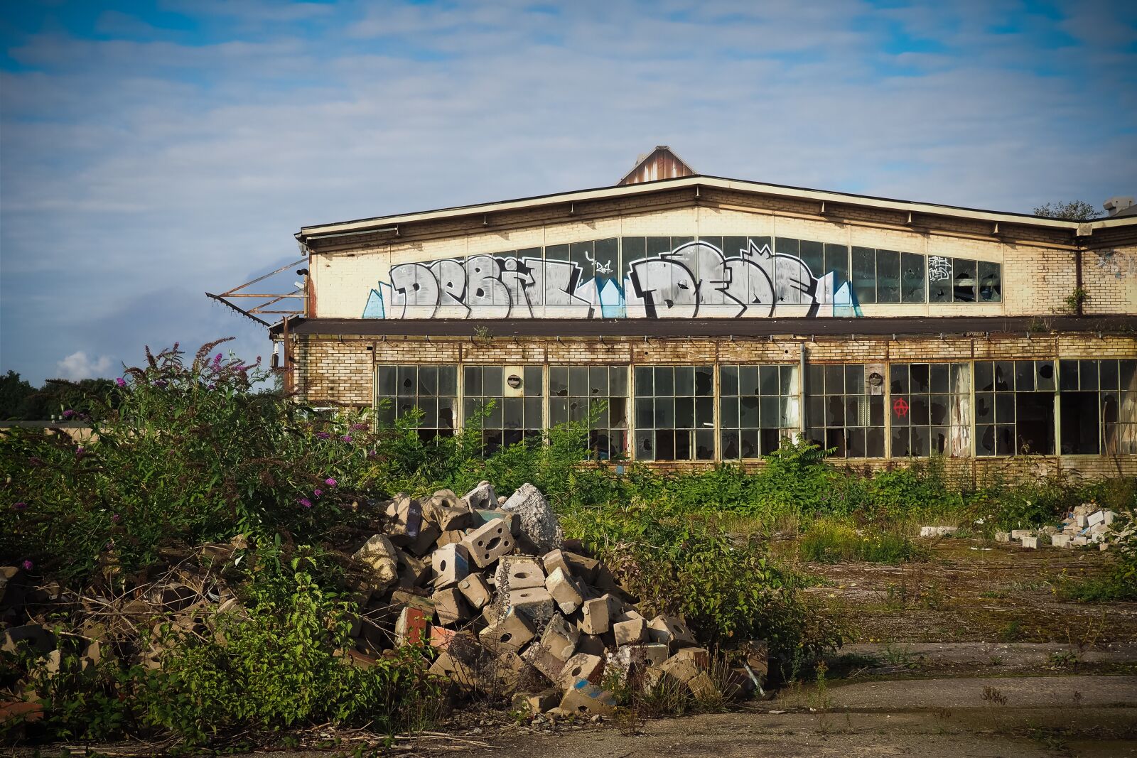 Olympus OM-D E-M10 sample photo. Lost places, pforphoto, old photography