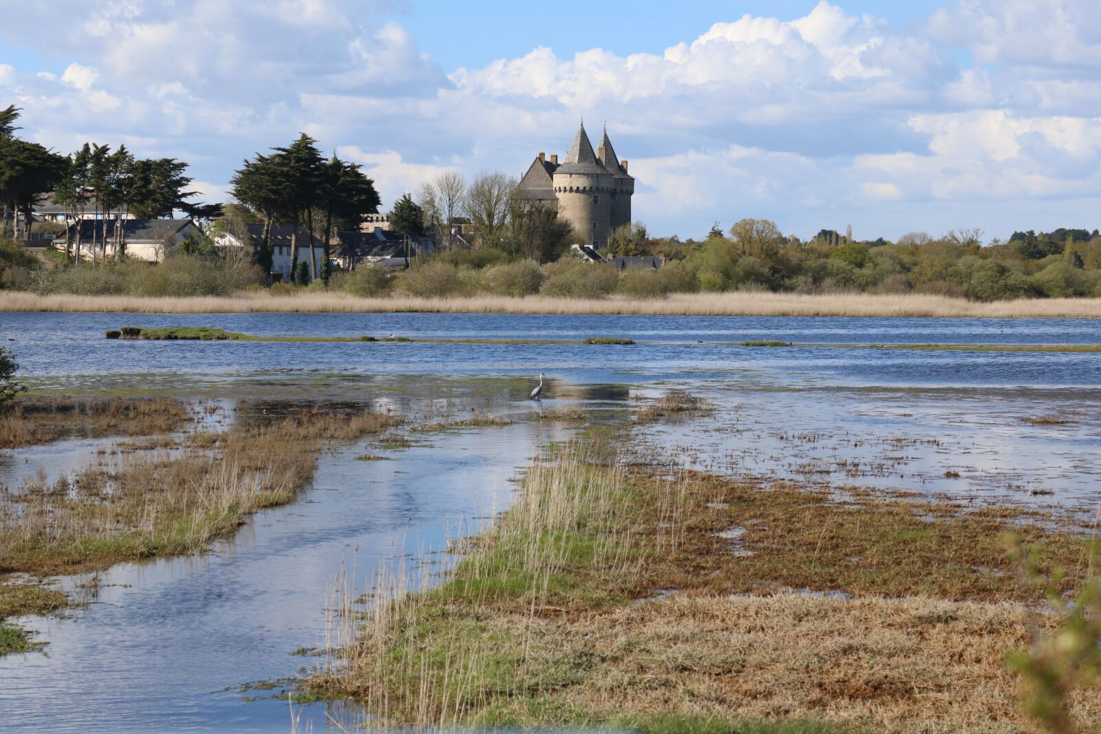 Canon EOS 750D (EOS Rebel T6i / EOS Kiss X8i) sample photo. Castle, suscinio, brittany photography