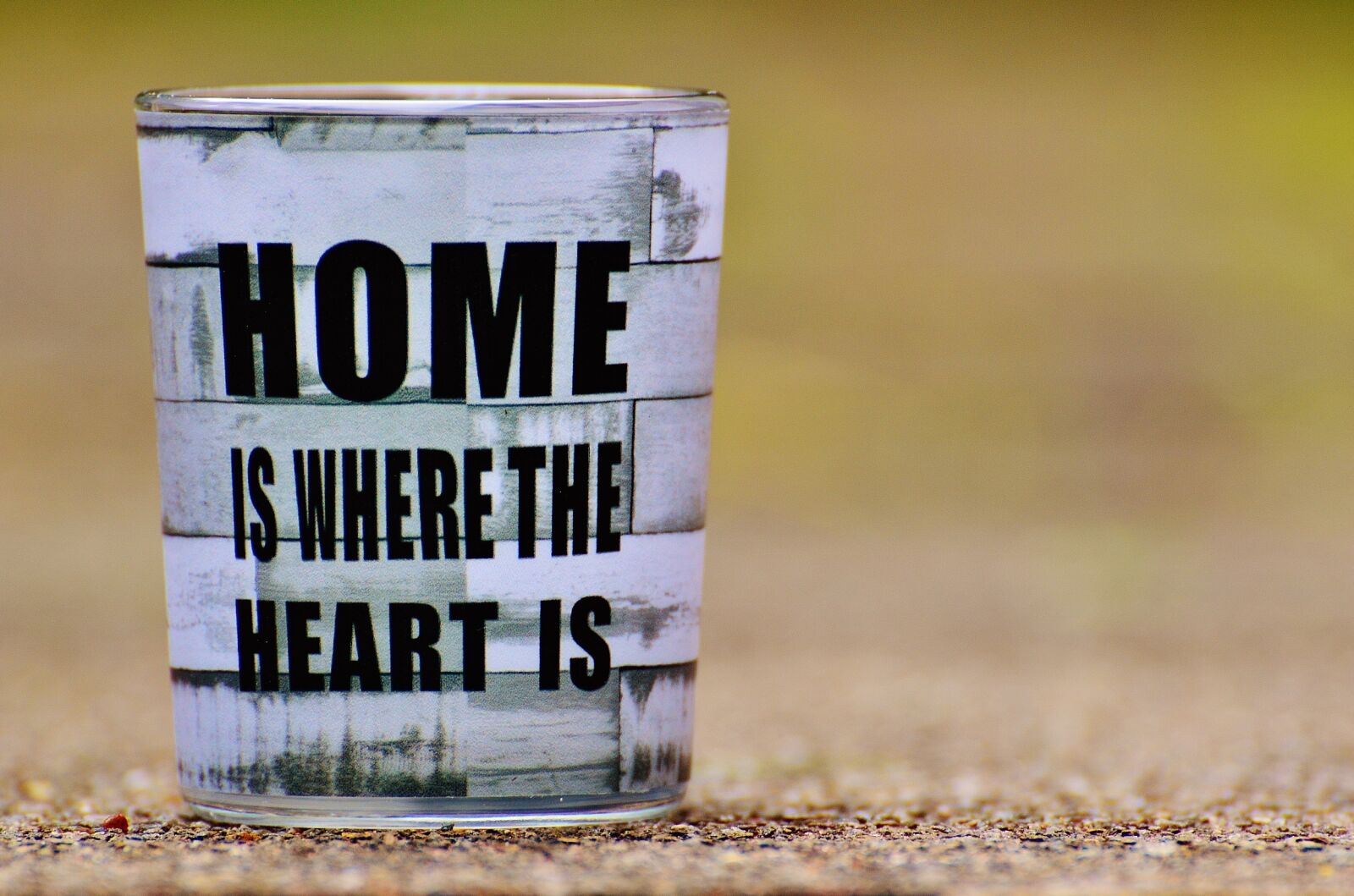 Nikon D3200 sample photo. At home, luck, home photography