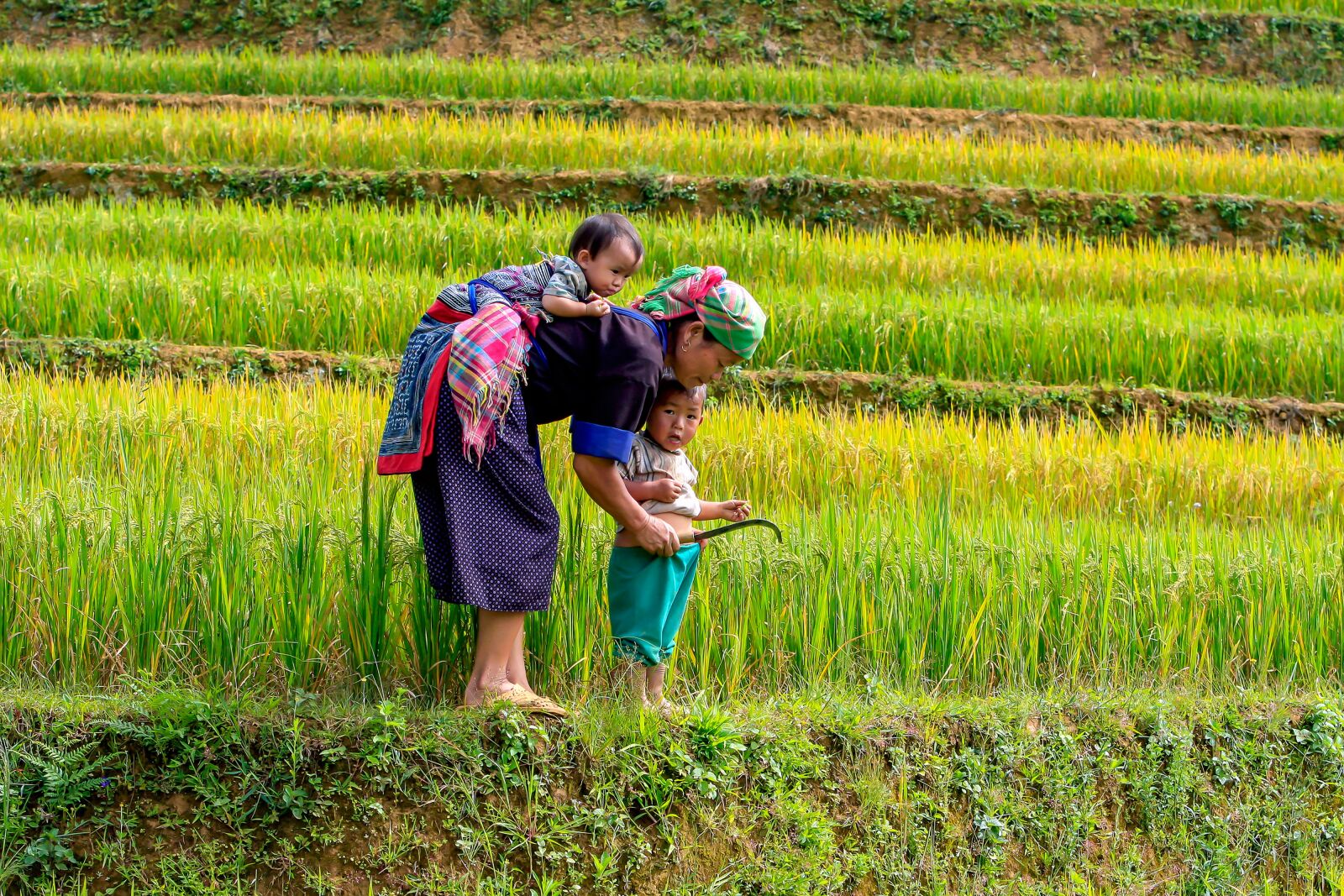 Canon EOS 40D + Canon EF 70-200mm F2.8L IS USM sample photo. The mother, kids, rice photography
