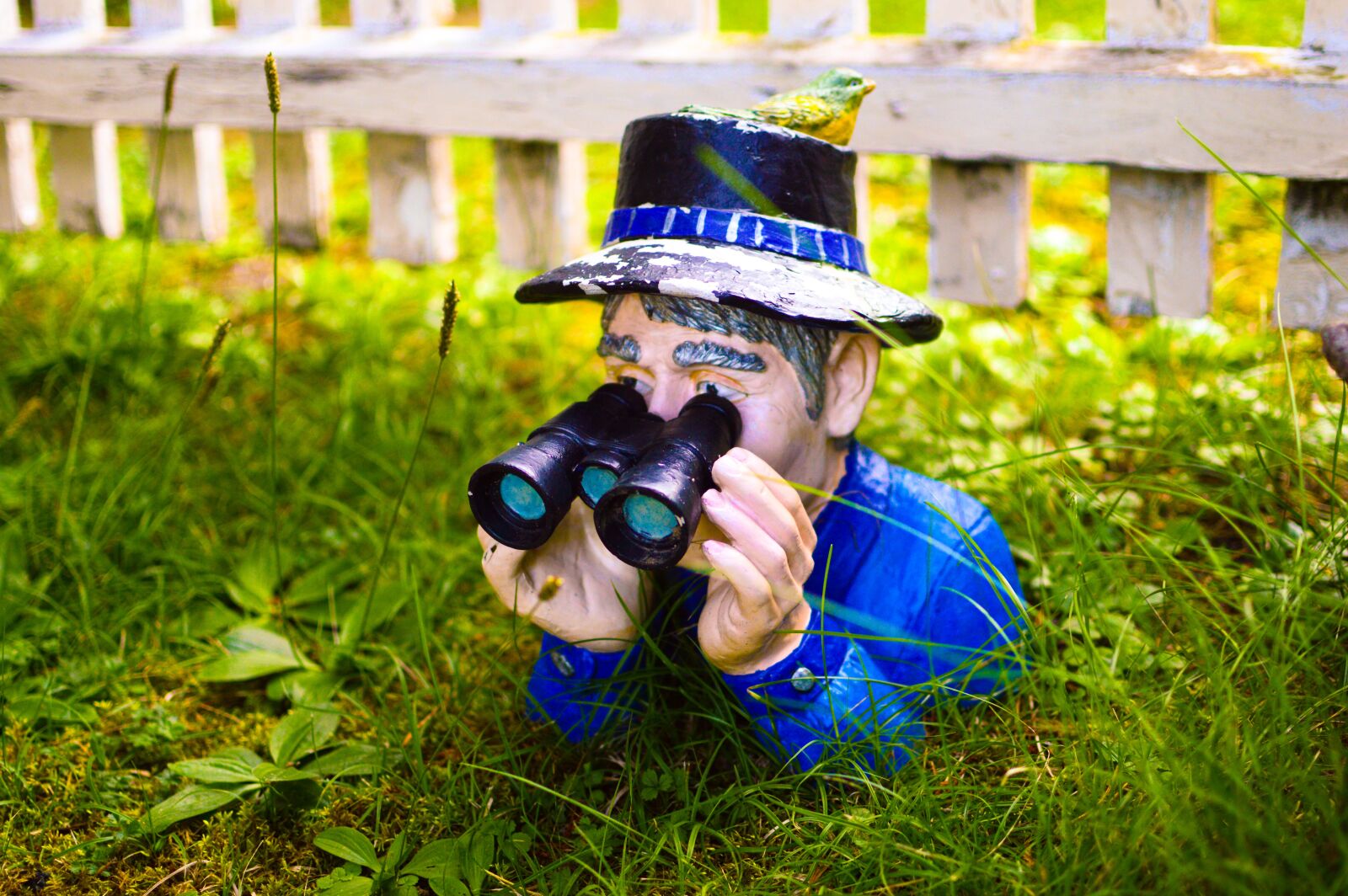 Nikon D3200 sample photo. Figure, garden gnome, dwarf photography
