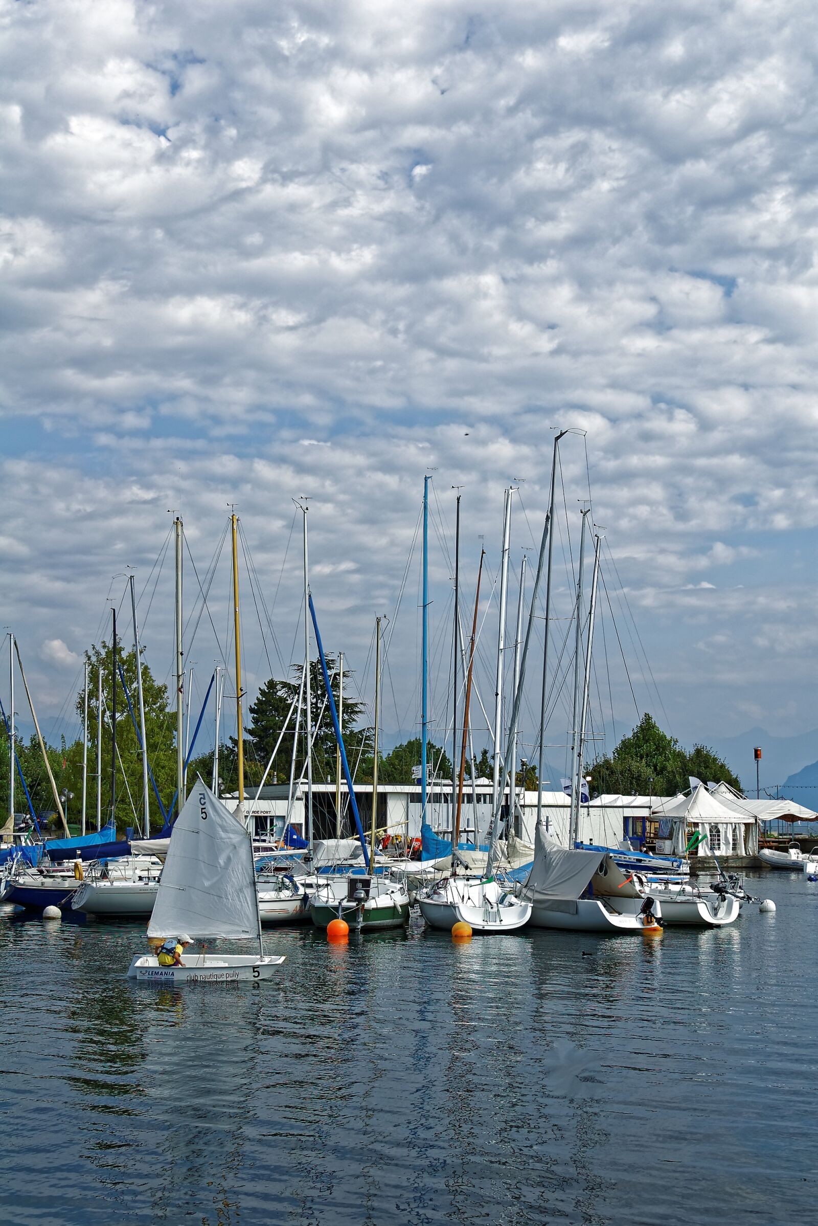 Nikon D50 sample photo. Sail, boat, dinghy photography