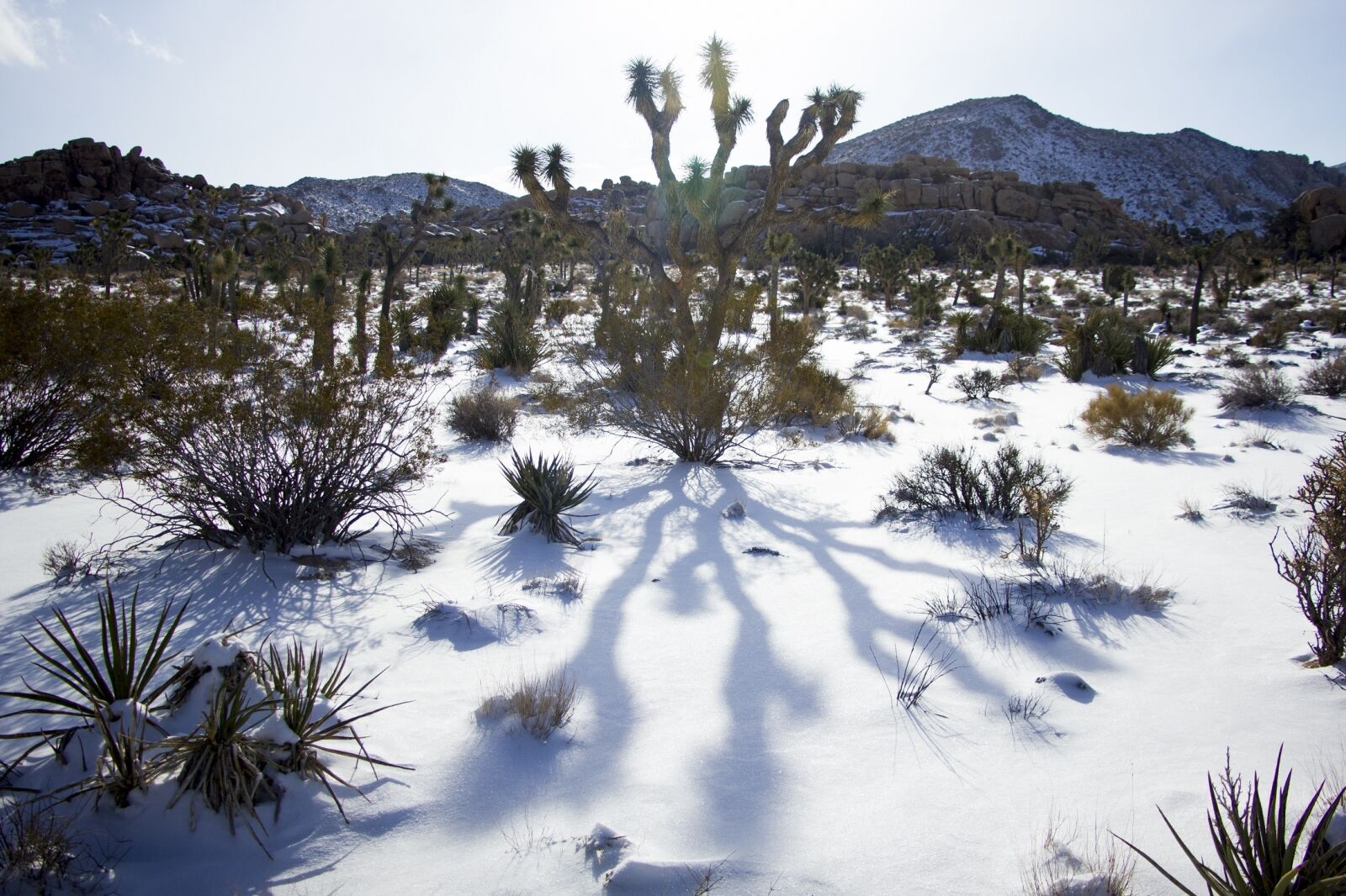 Canon EOS 550D (EOS Rebel T2i / EOS Kiss X4) sample photo. Landscape, scenic, winter photography