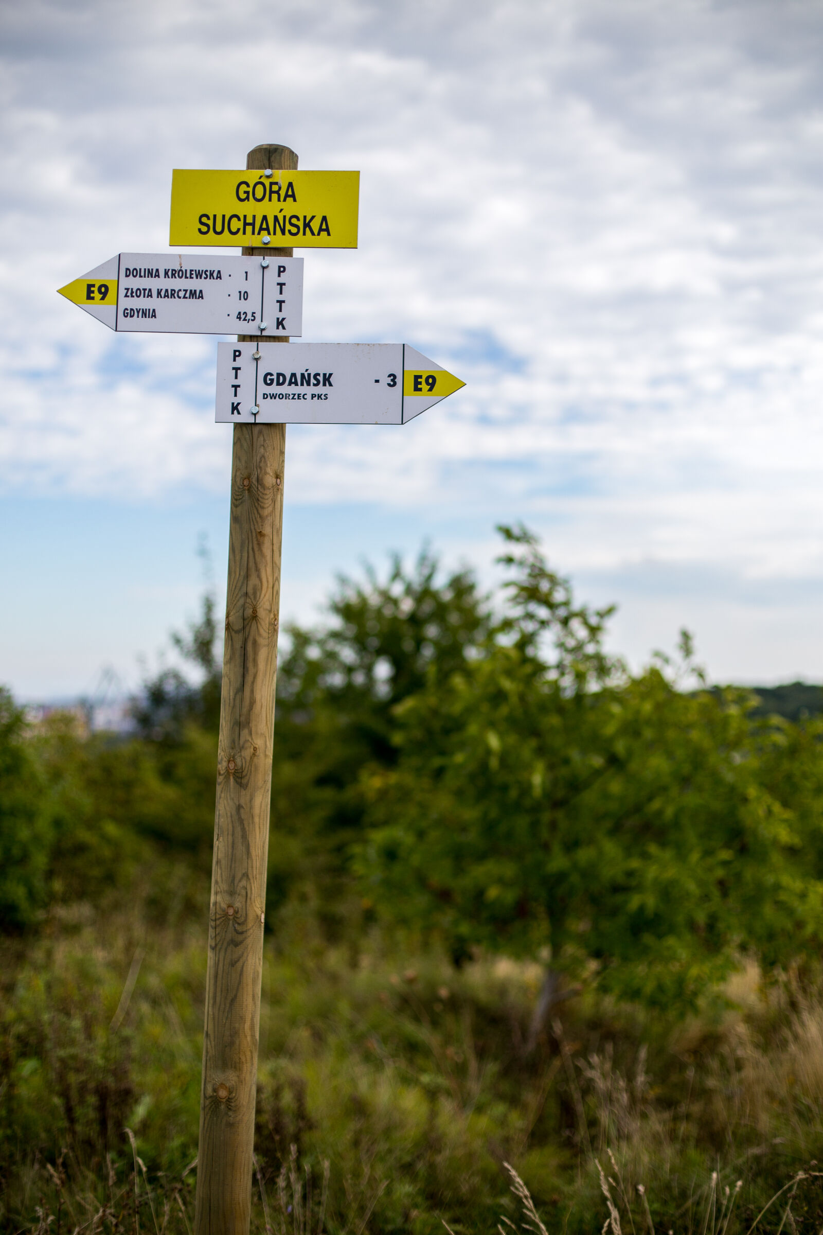 Canon EOS 6D + Canon EF 50mm F1.4 USM sample photo. Gdansk, grass, green, mark photography