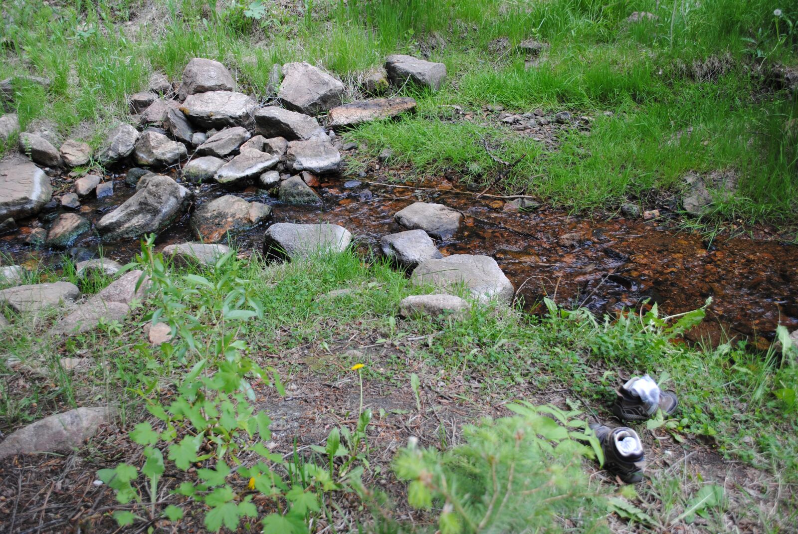 Nikon D3000 sample photo. Stream, brook, creek photography