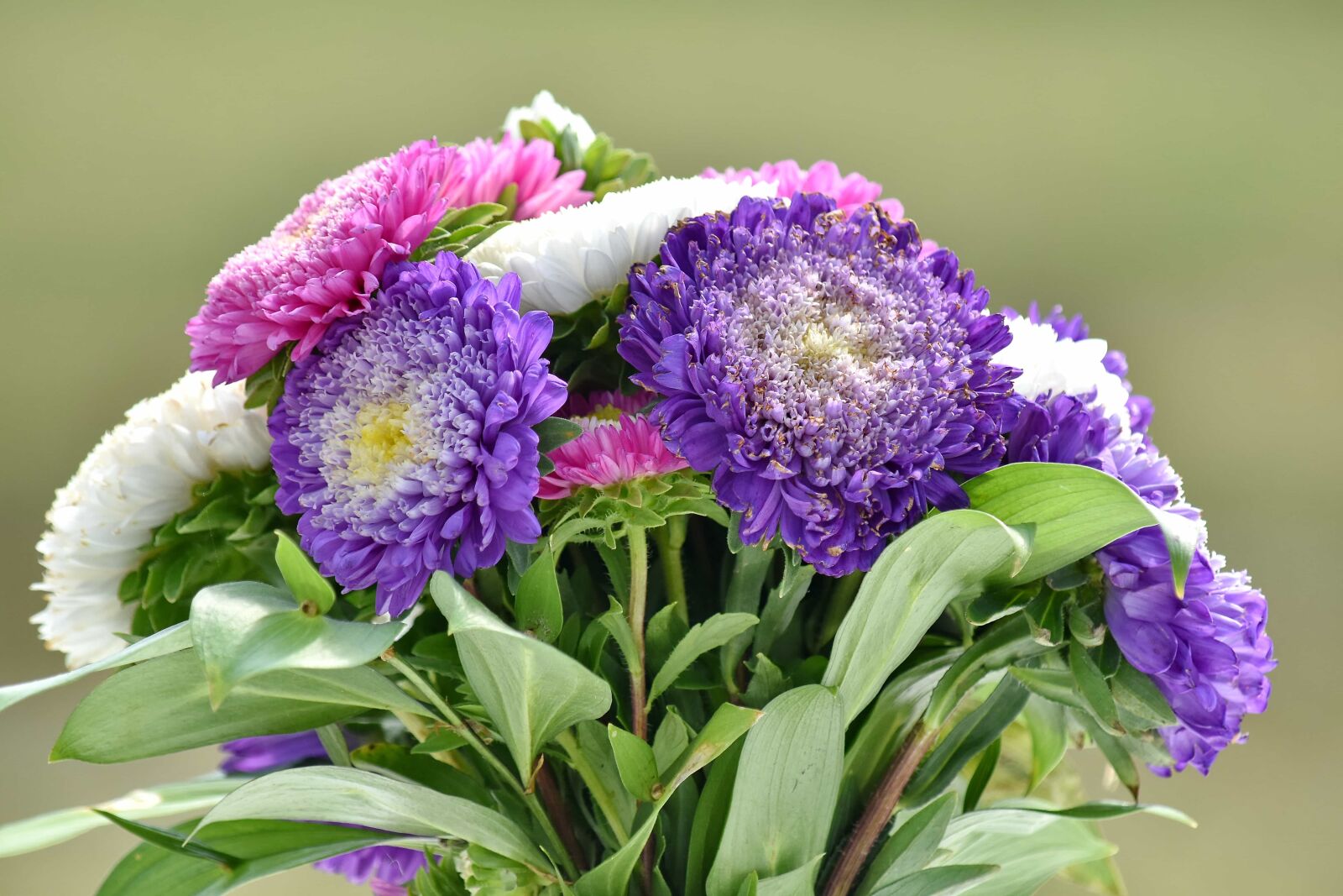 Nikon D5500 sample photo. Arrangement, bouquet, flower, nature photography