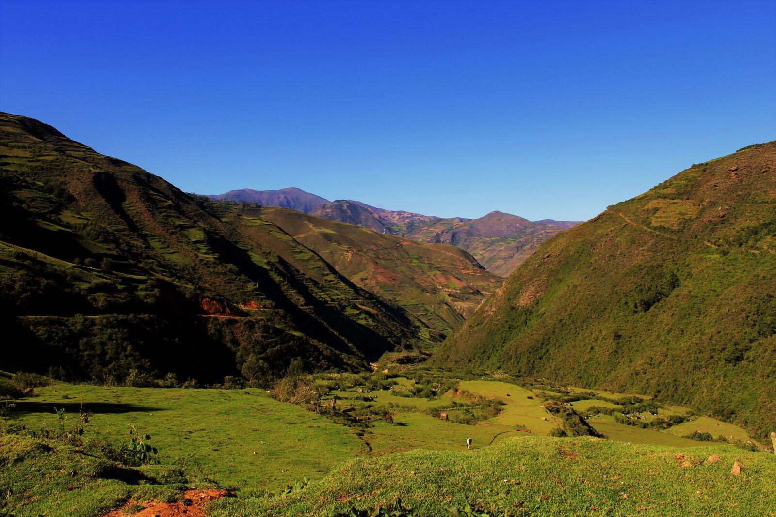 Canon EOS 1200D (EOS Rebel T5 / EOS Kiss X70 / EOS Hi) sample photo. Peru, peaceful, nature photography