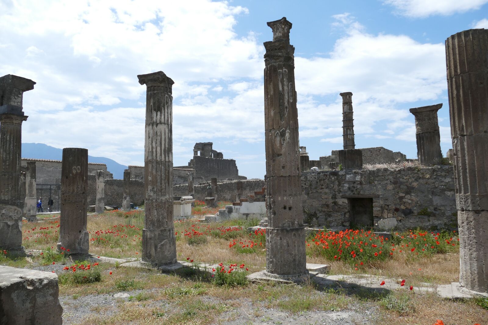 Panasonic Lumix DMC-FZ1000 sample photo. Pompeii, italy, naples photography