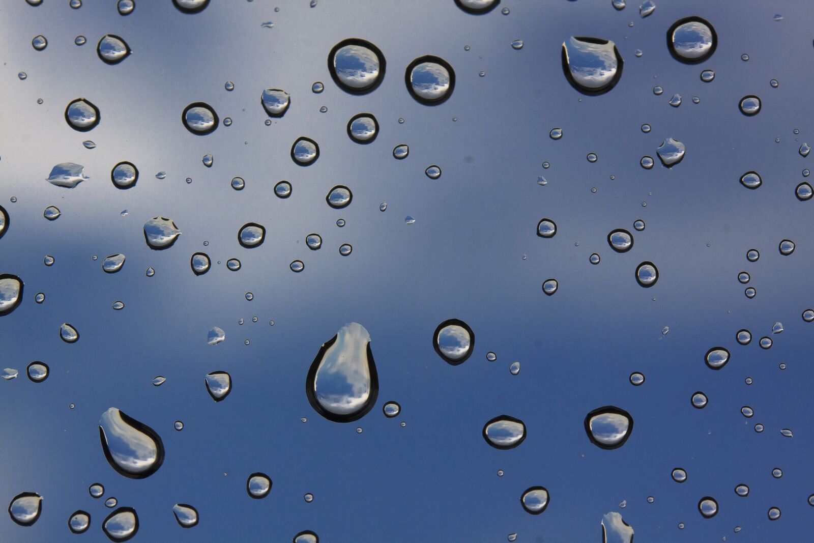 Canon EF-S 60mm F2.8 Macro USM sample photo. Rain, raindrop, window photography