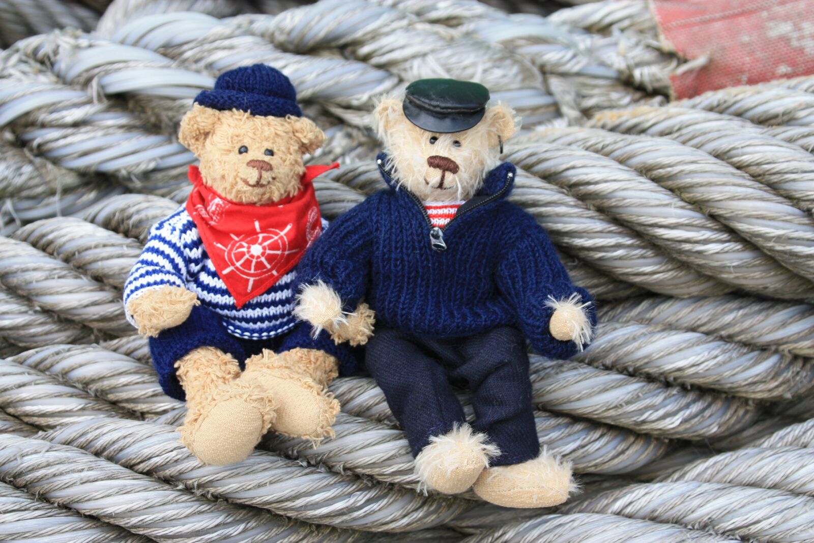 Canon EOS 450D (EOS Rebel XSi / EOS Kiss X2) sample photo. Teddy, teddy bears, friendship photography
