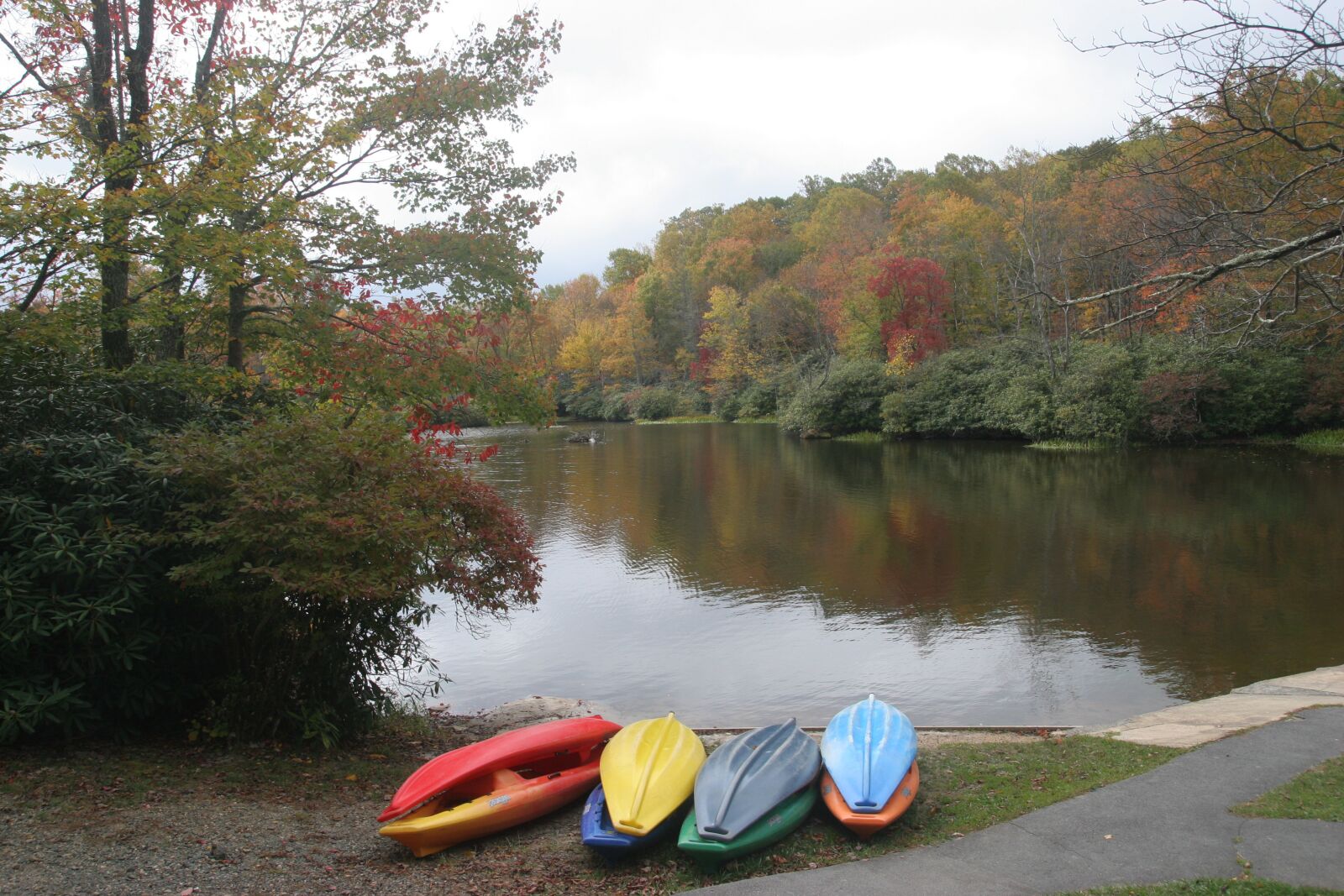 Canon EOS 20D sample photo. Leaf, boat, maple leaf photography