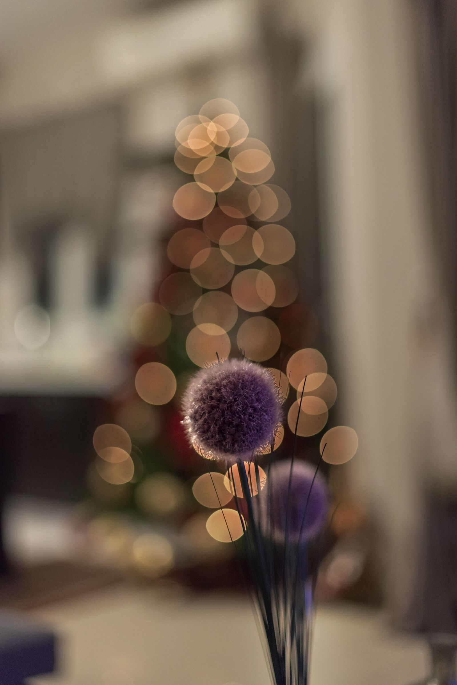 Nikon D750 sample photo. Christmas, lights, holiday photography