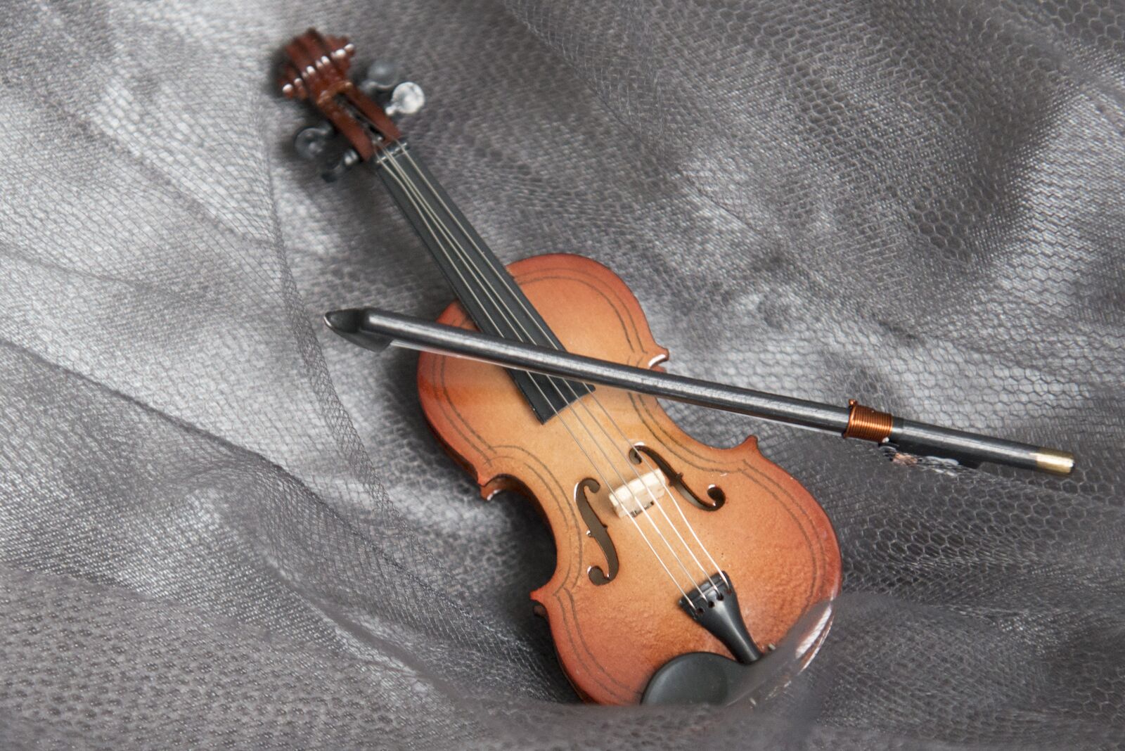 Nikon D800 sample photo. Violin, music, instrument photography