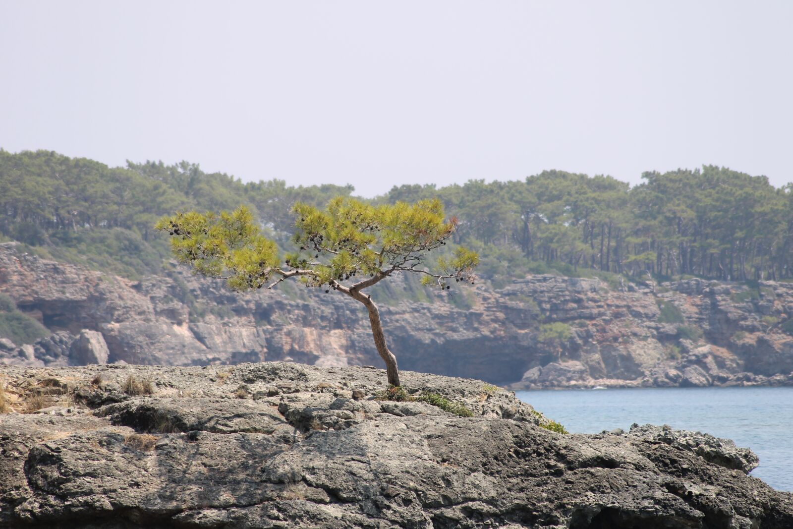 Canon EOS 1100D (EOS Rebel T3 / EOS Kiss X50) sample photo. Turkey, phaselis, sea photography