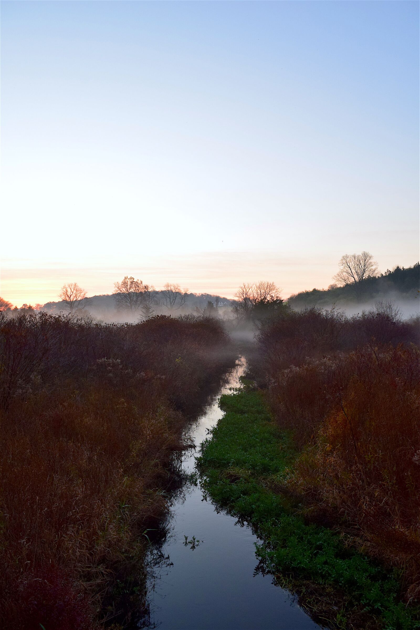 Nikon D3300 sample photo. Mist, morning, field photography