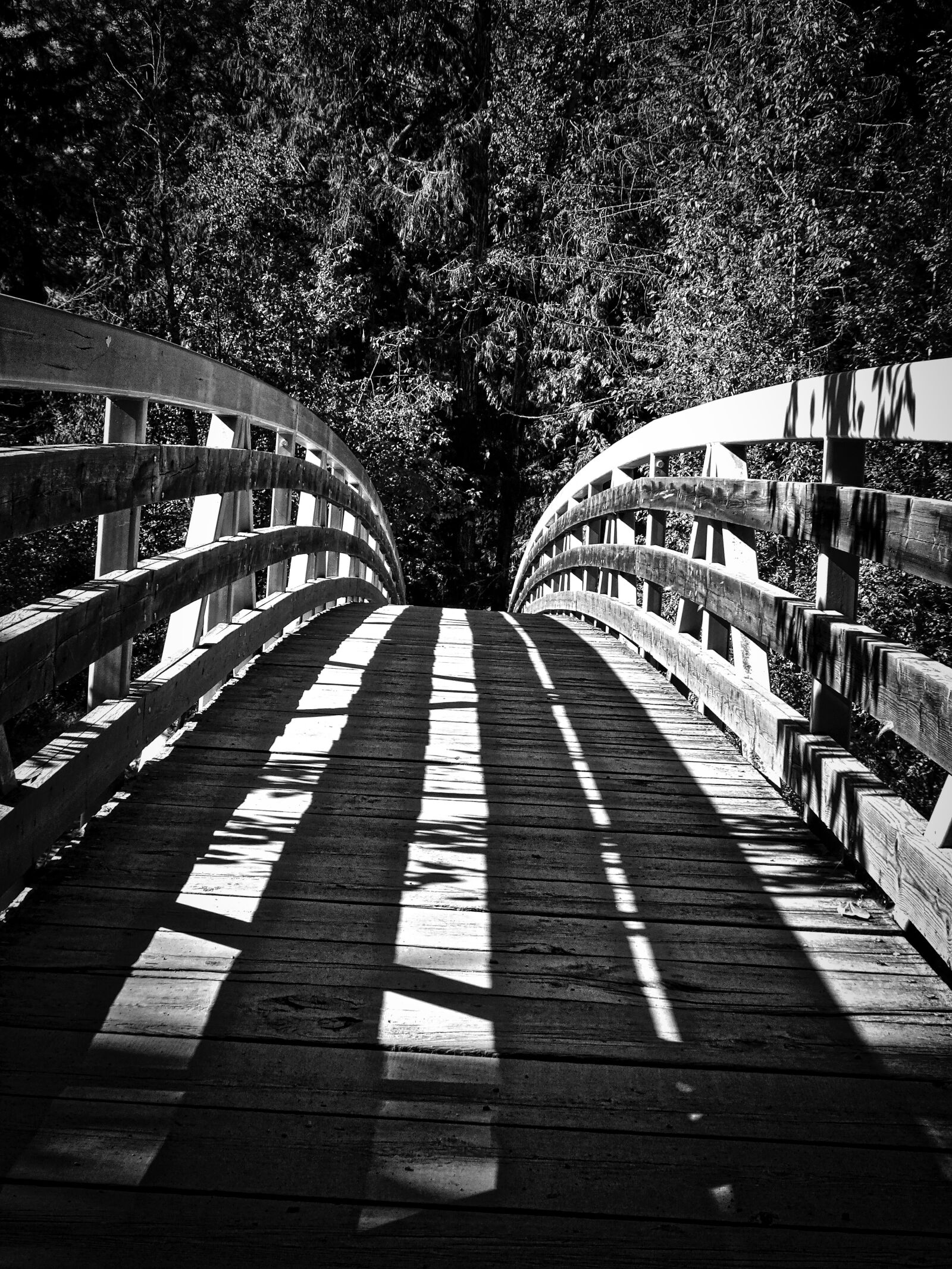 Sony Cyber-shot DSC-HX90V sample photo. Bridge, crossing, wooden photography