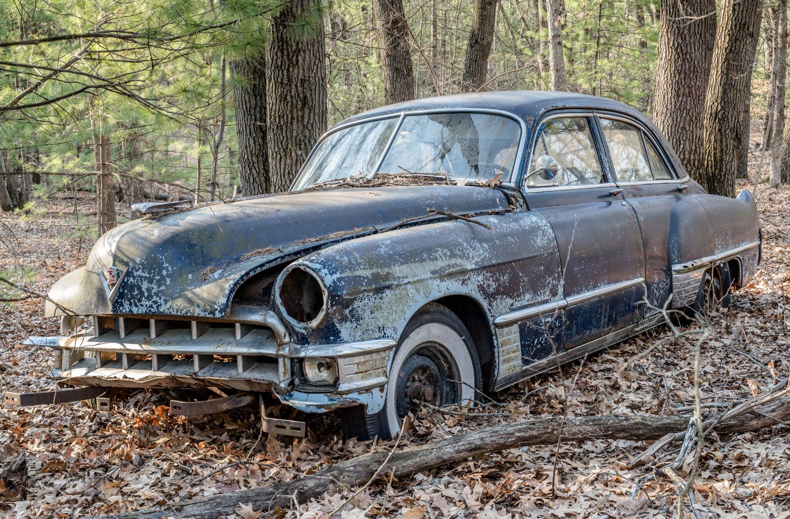 Nikon D750 sample photo. Antique car, old, vintage photography