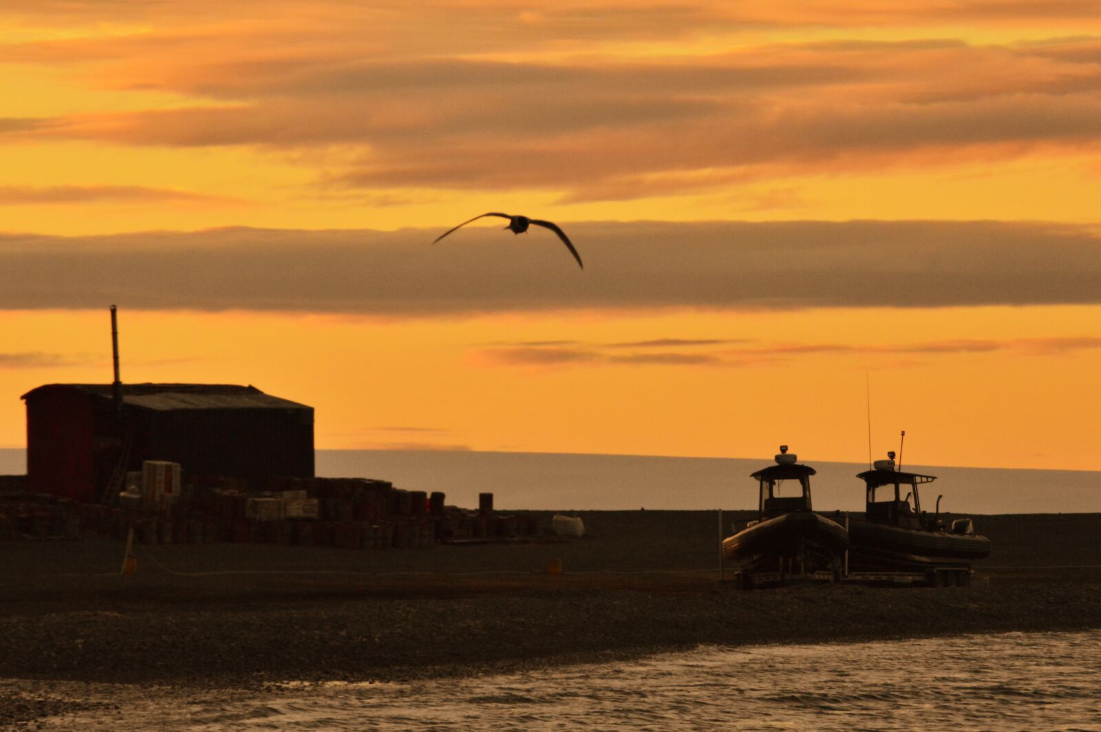 Nikon D3200 sample photo. Sunset, ave, silhouettes photography