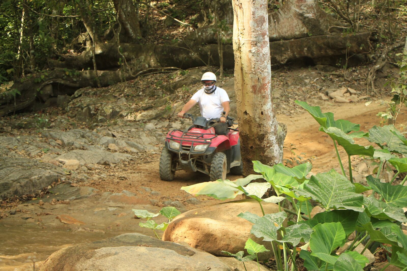 Canon EOS 1100D (EOS Rebel T3 / EOS Kiss X50) sample photo. Atv, offroad, quad photography