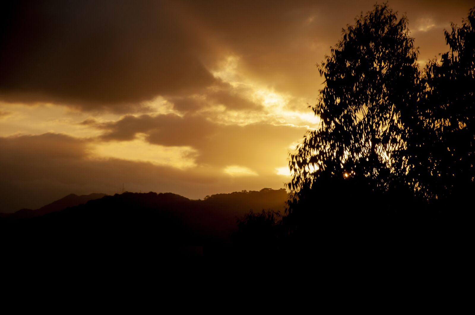 Nikon D90 sample photo. Sky, golden hour, golden photography