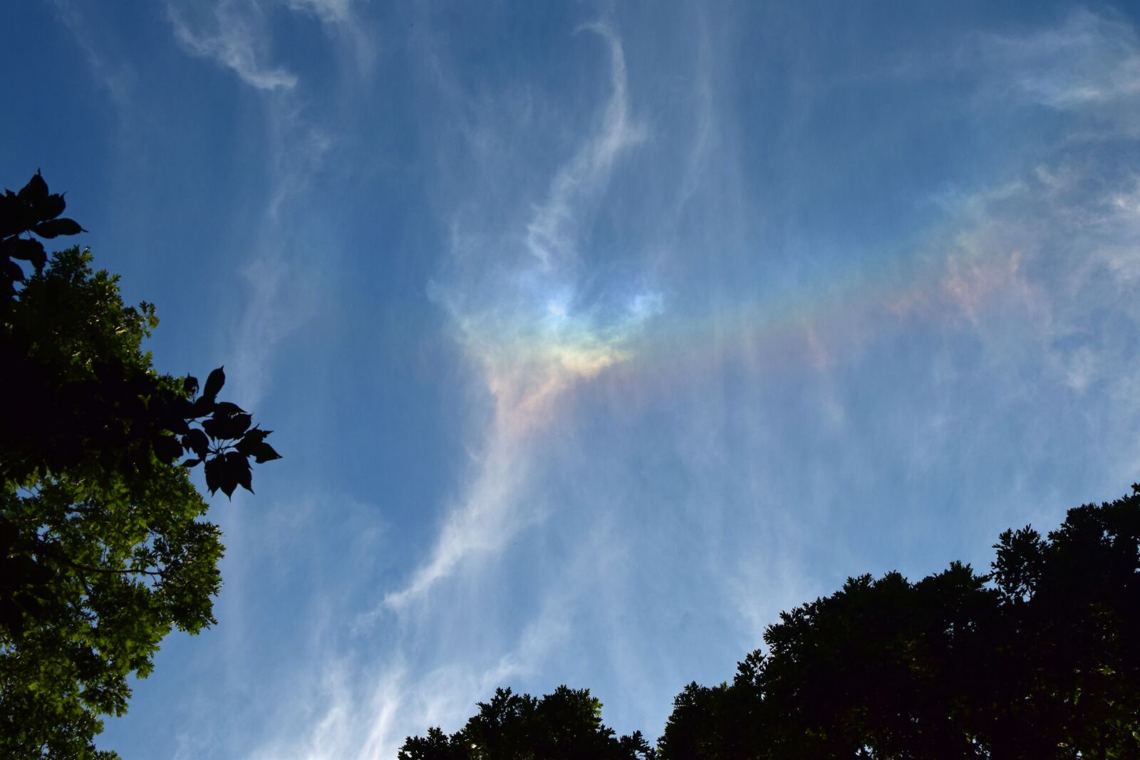 Nikon D3300 sample photo. Fire rainbow in the photography