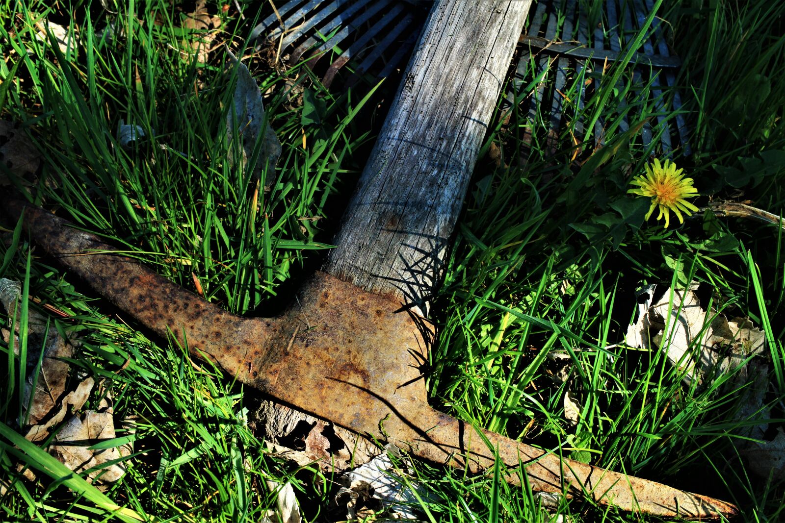 Canon EF-S 35mm F2.8 Macro IS STM sample photo. Pickaxe, axe, tool photography
