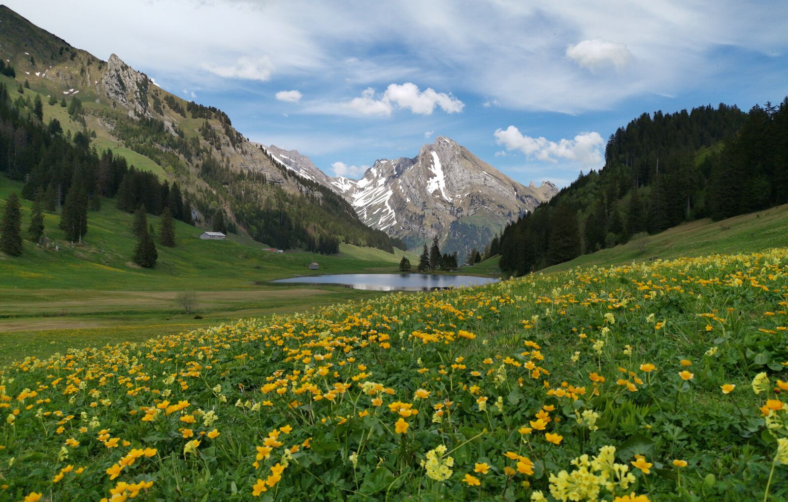 HUAWEI LYA-L29 sample photo. Switzerland, alpstein, schafberg photography