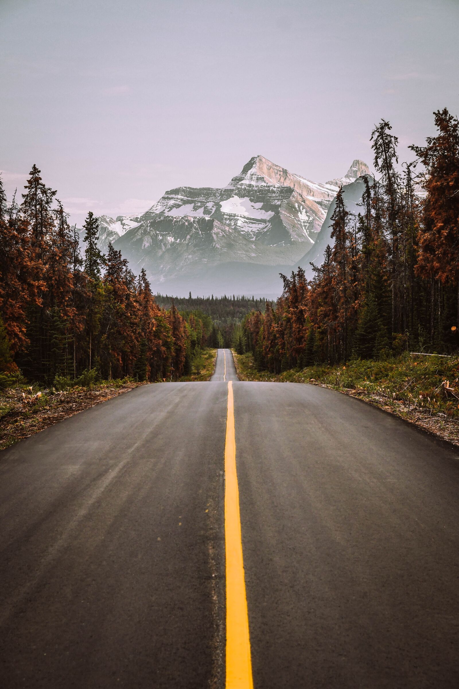 Nikon D7500 sample photo. Mountain, canada, jasper photography