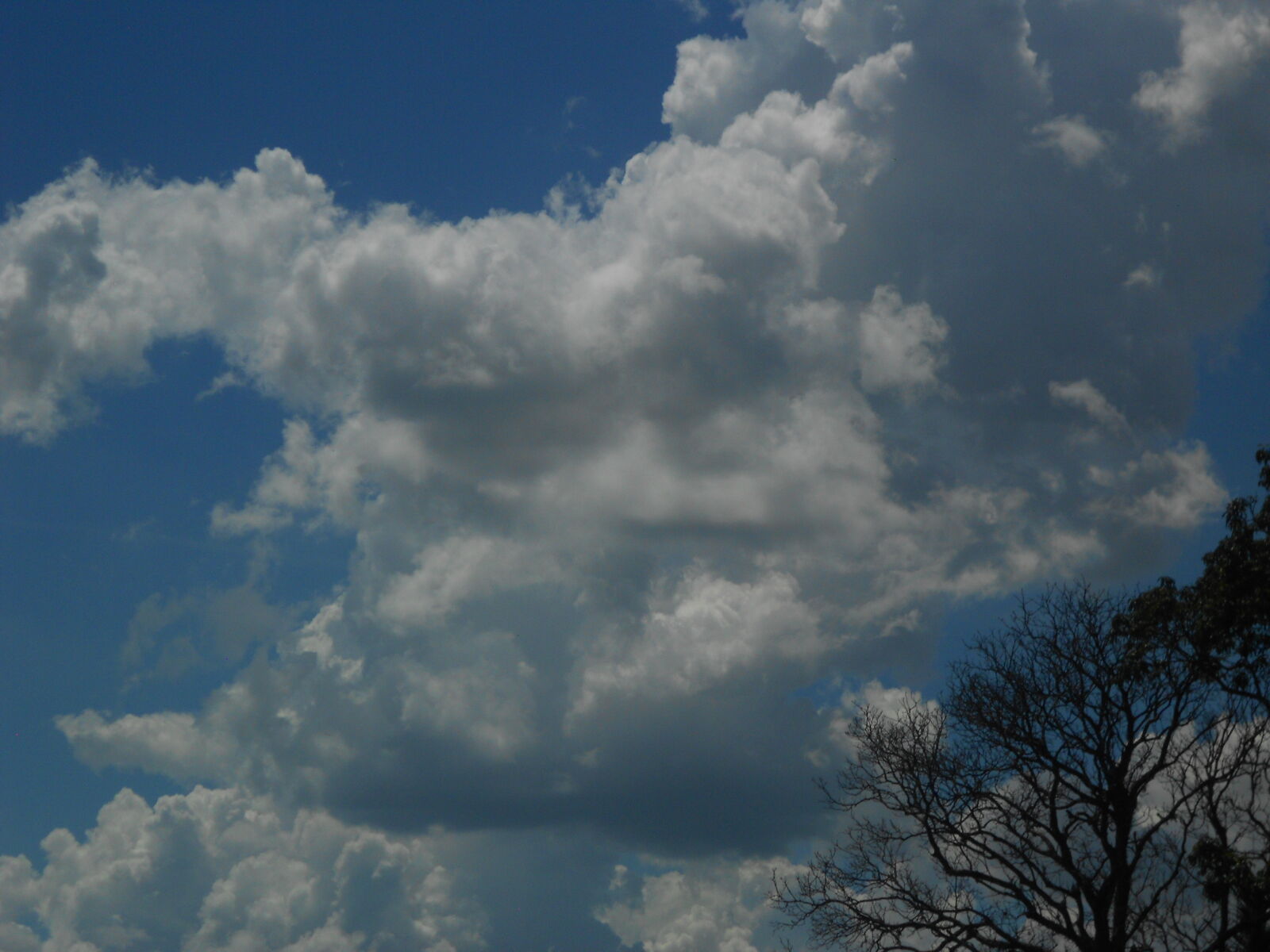 Nikon COOLPIX S2600 sample photo
