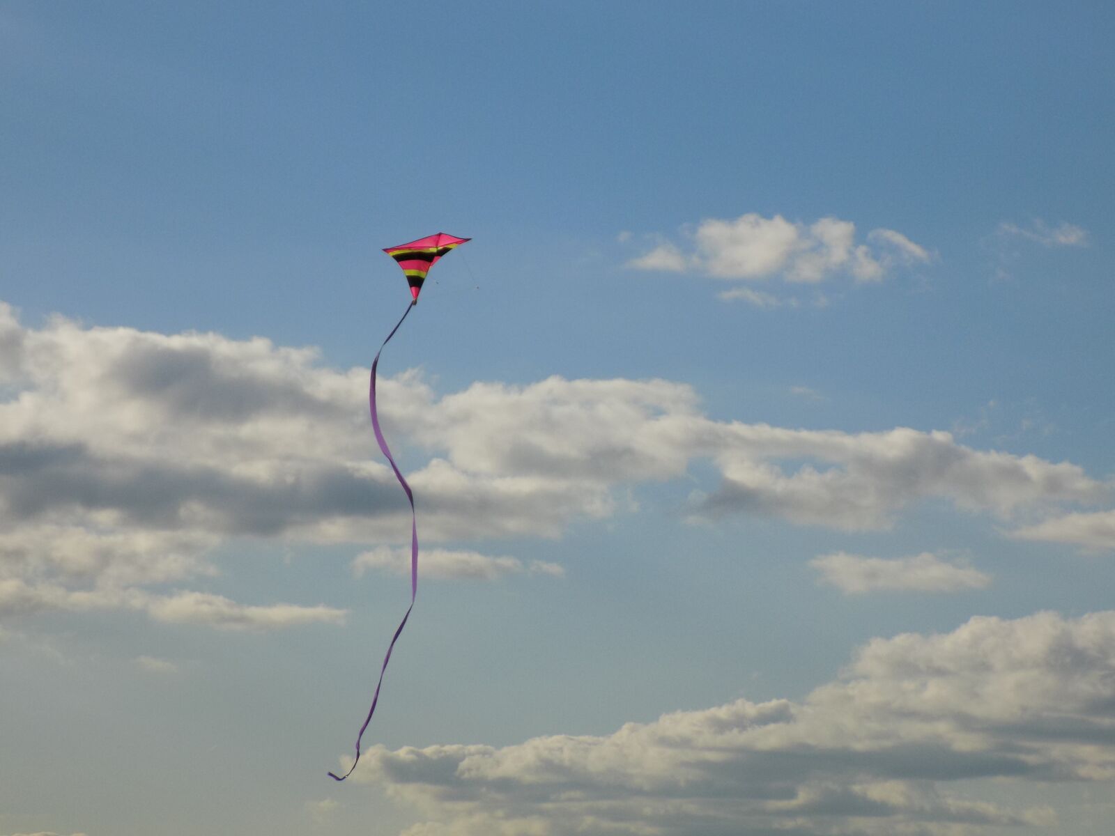 Nikon COOLPIX L340 sample photo. Dragon, autumn, kites rise photography