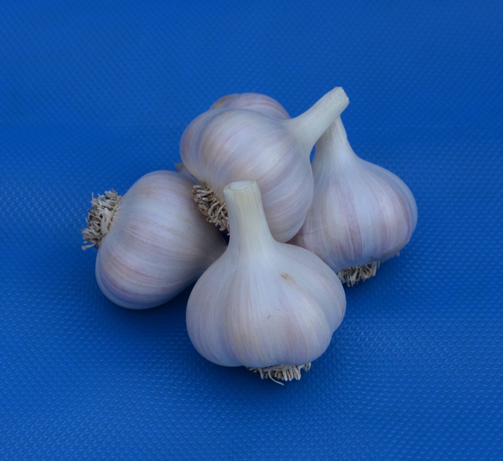 Nikon D3200 sample photo. Garlic, bulb, white photography