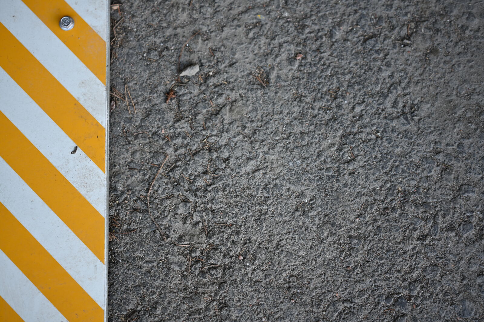 Nikon Z7 sample photo. Forgotten sign on asphalt photography