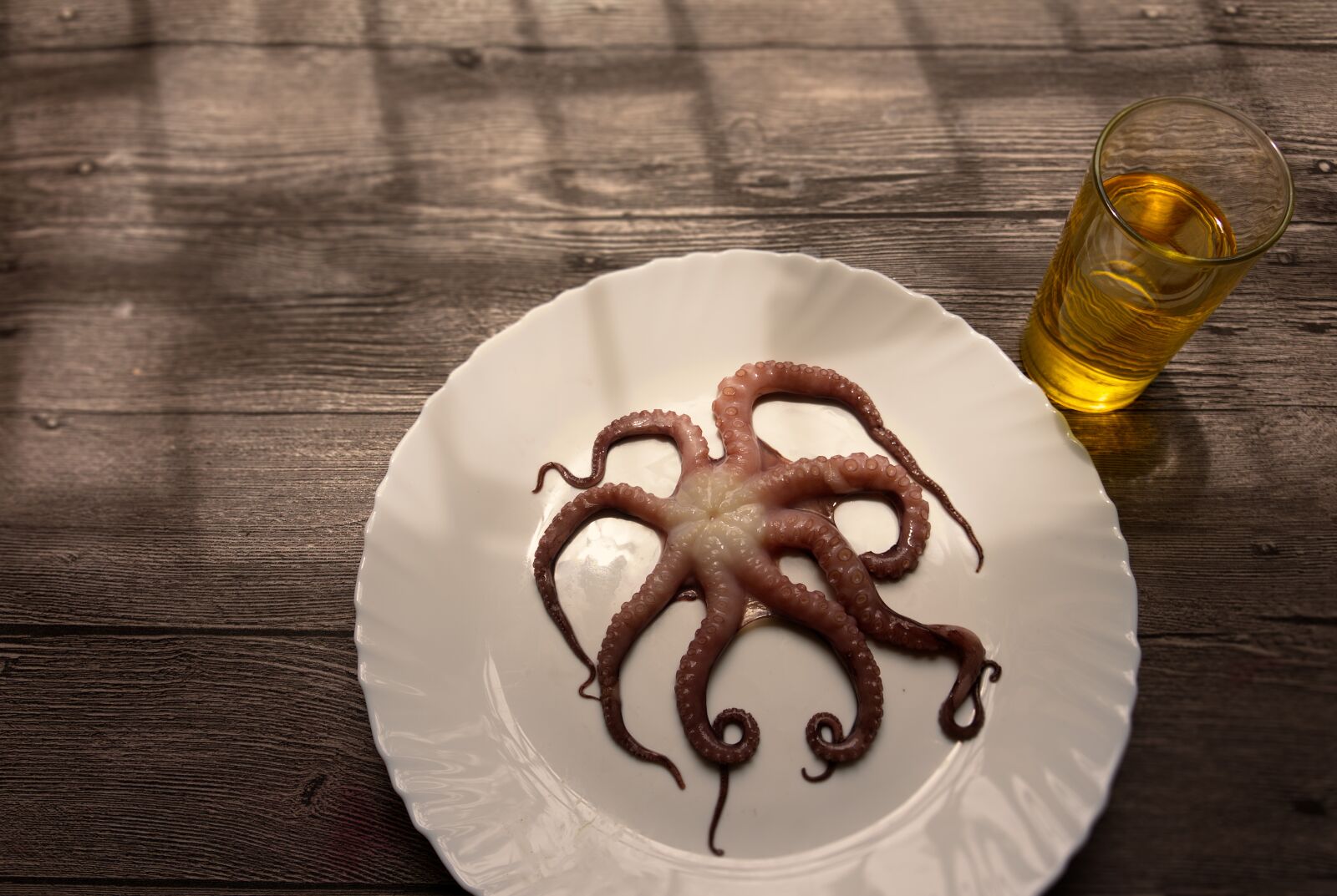 Sony Alpha a3000 sample photo. Food, plate, delicious photography