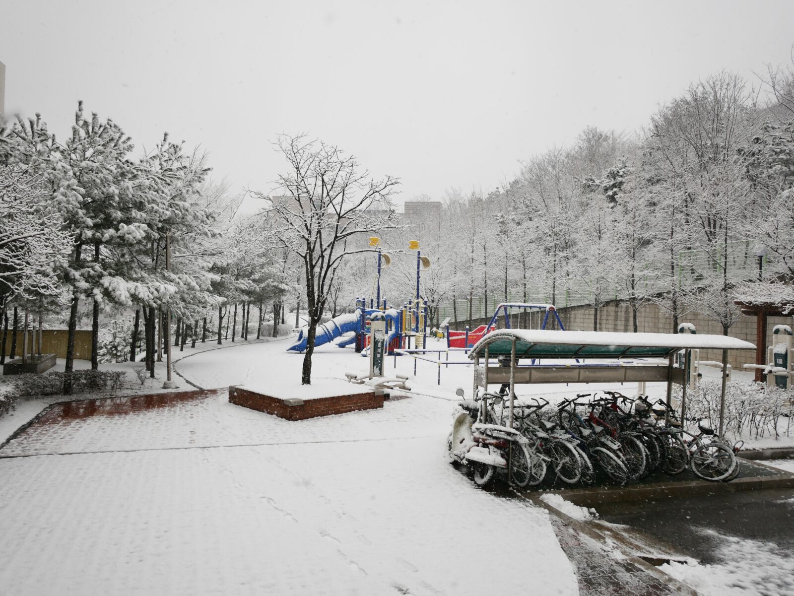 Panasonic Lumix DMC-G7 sample photo. Snow, playground, bike photography