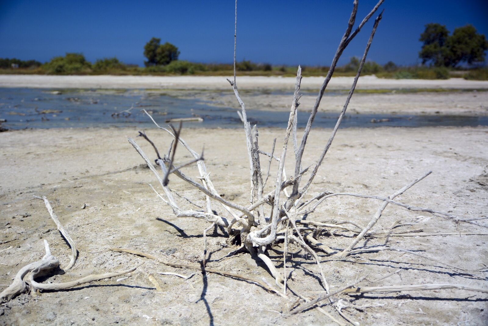 Nikon D7100 sample photo. Drought, landscape, dry photography