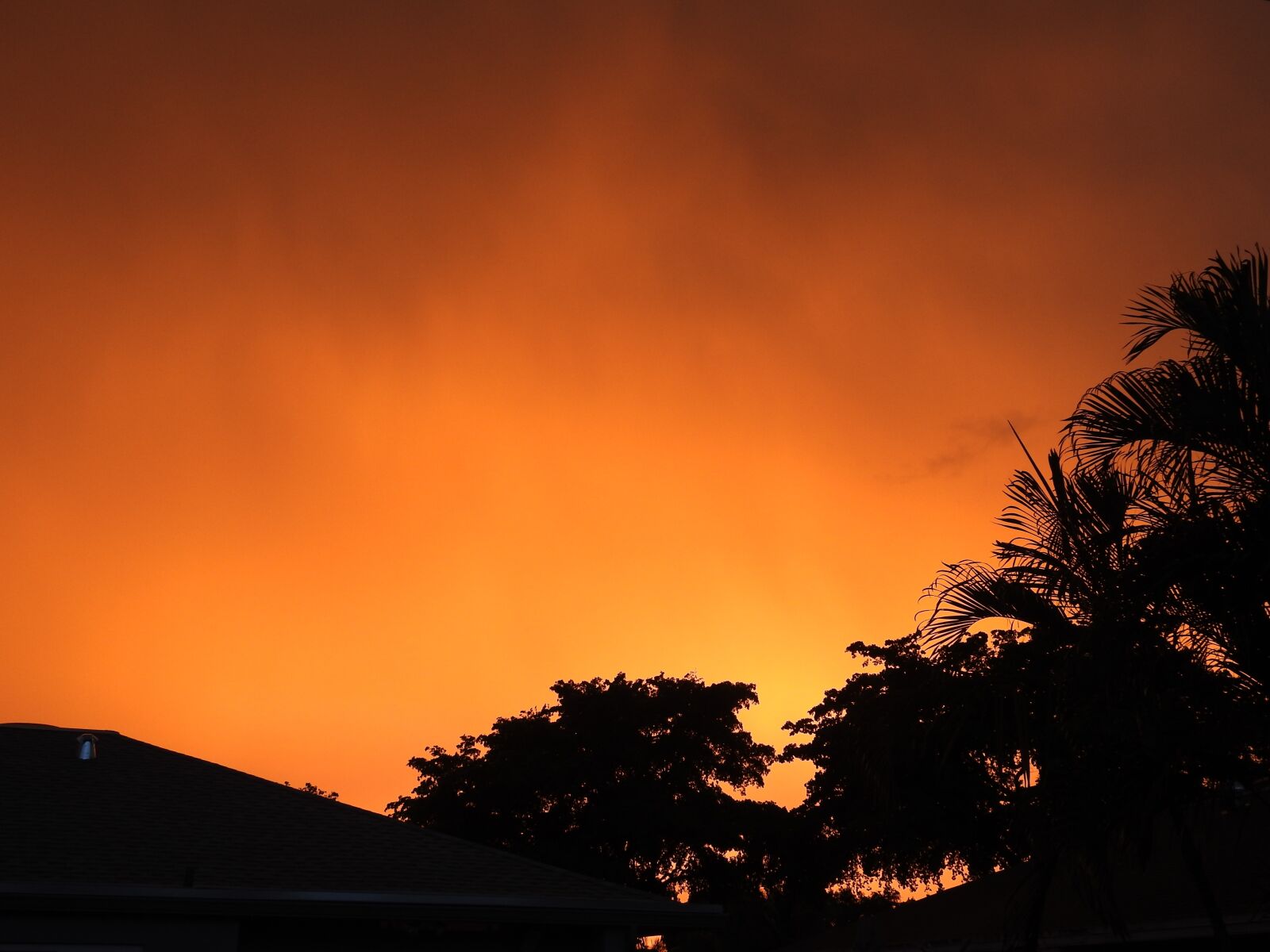 Nikon Coolpix P900 sample photo. Silhouette tree, red sky photography