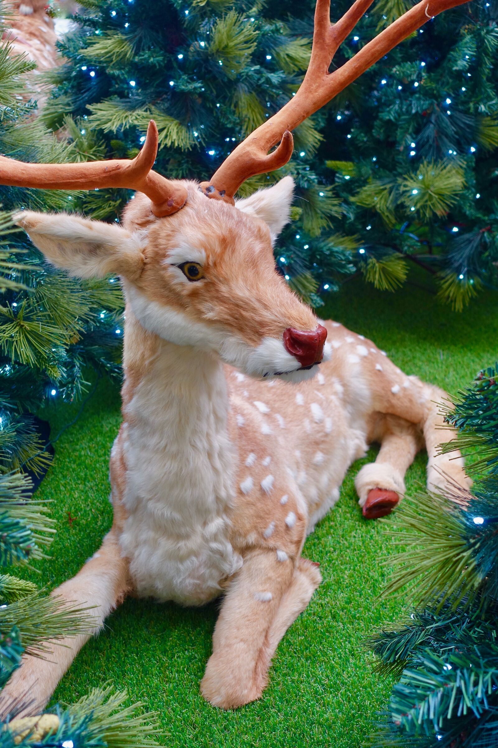 Sony Cyber-shot DSC-RX100 III sample photo. Reindeer, antlers, animal photography