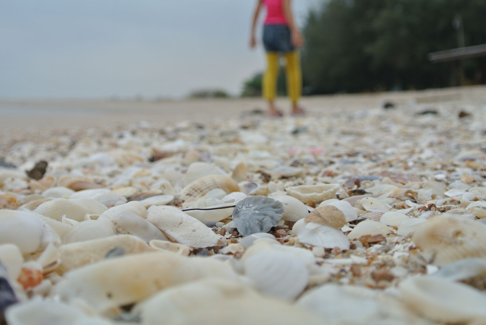 Nikon 1 J1 sample photo. Sea photography
