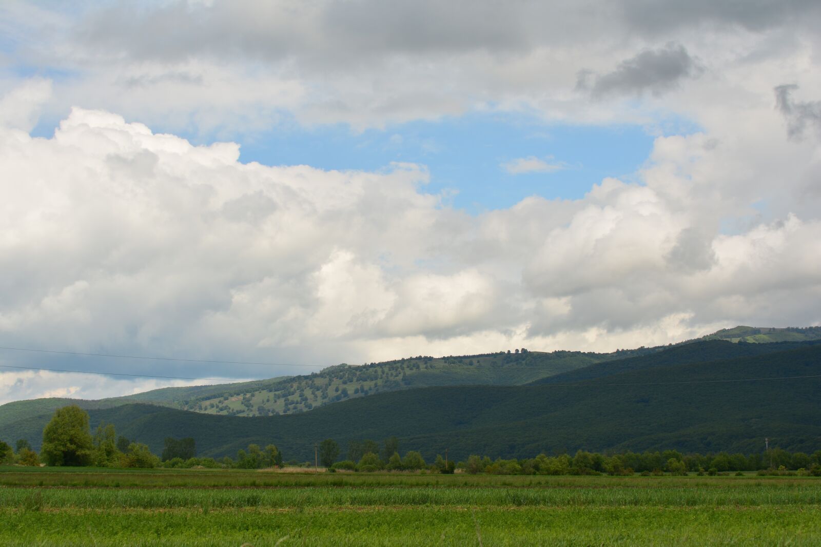 Nikon D7100 sample photo
